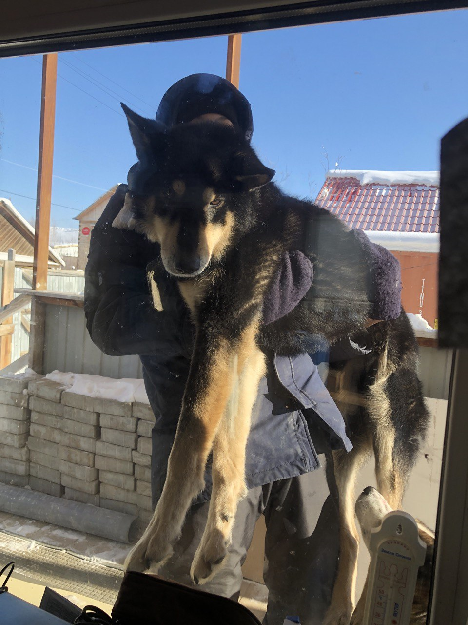 поднят