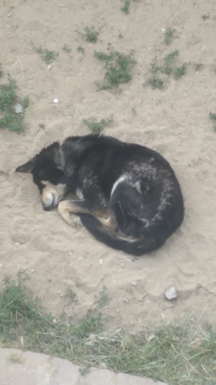 спит